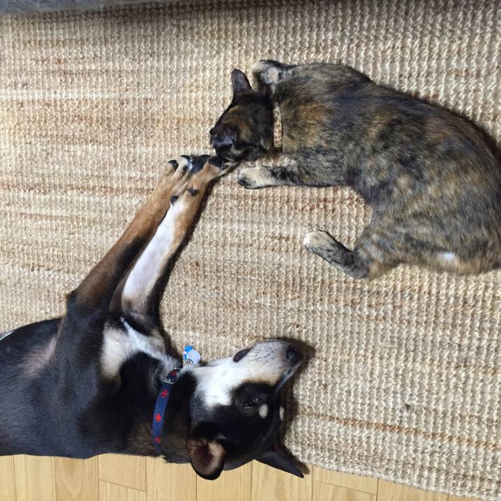 3909555f e467 4416 9b72 849ca339acac