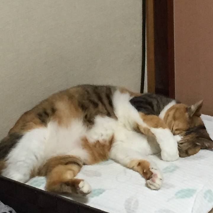 3909fd1a 616b 4520 ae52 74286450e5a6