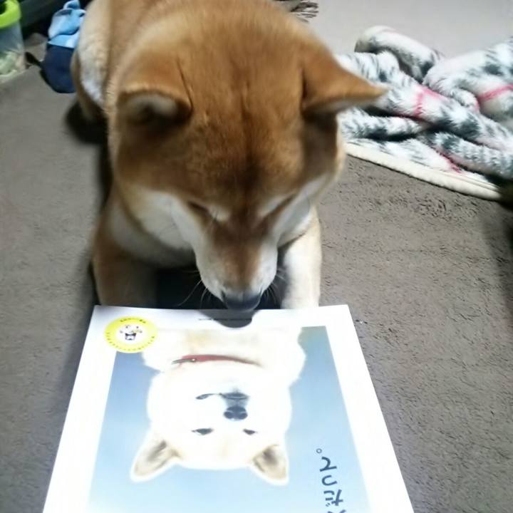 390a96a3 a8f1 43e5 977b debe9c83b3c9