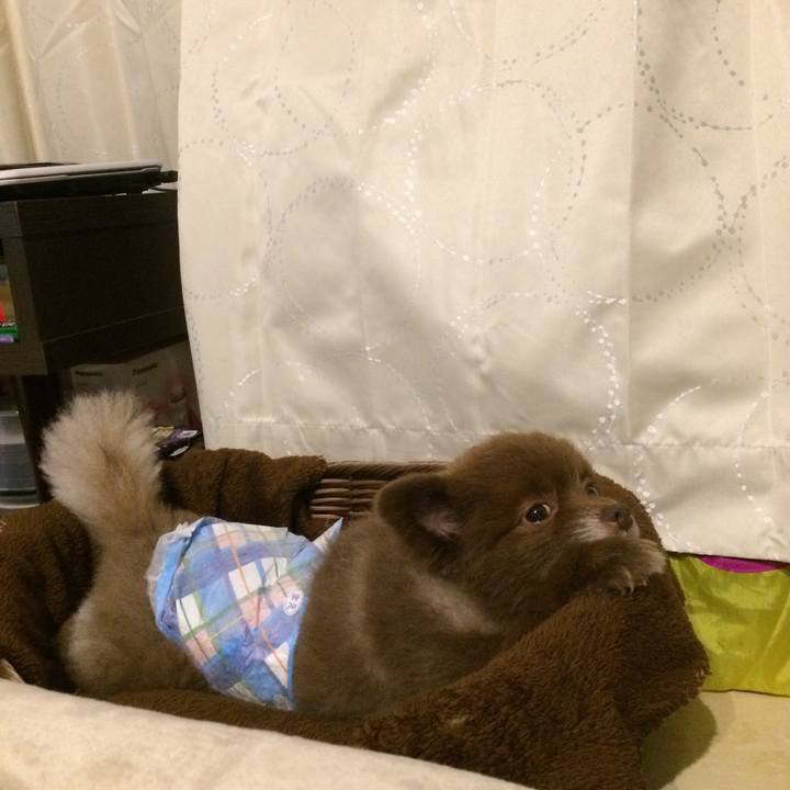 390ad704 bc15 46cf 837a 665f1bdf5ee4