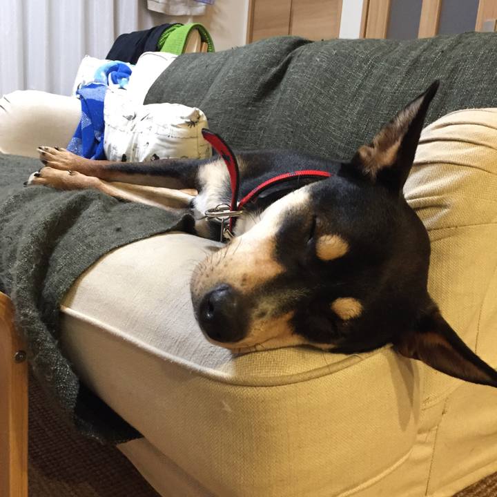 390aeac0 b87c 4a1d 8a80 5d89e30e48df