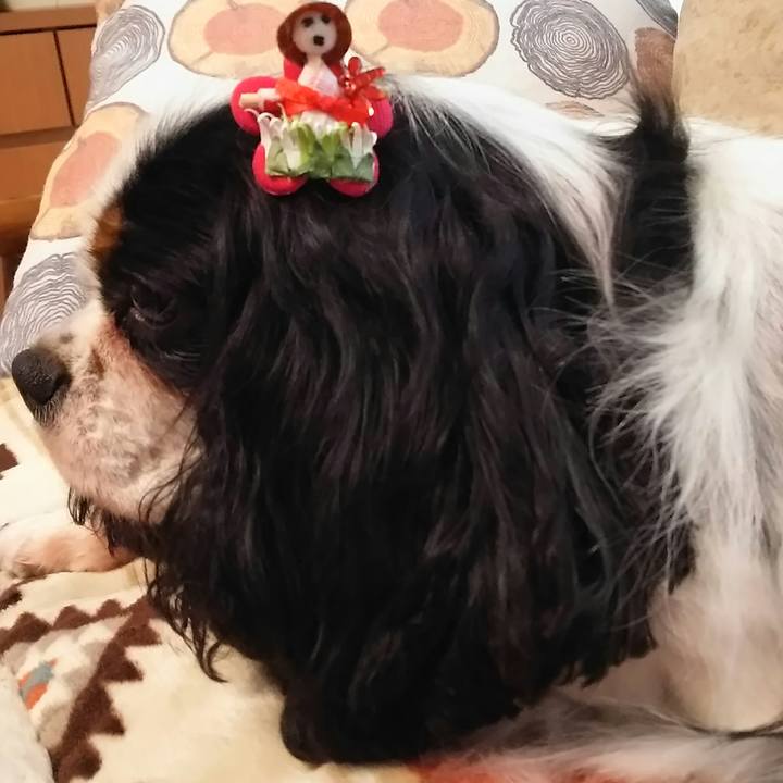 390b253c e2c4 444d 8121 2334052d399d