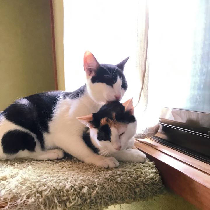 390ba385 9eb9 4c68 8329 164bd4cd83df