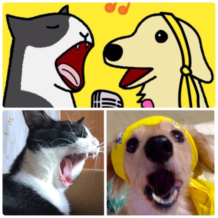 390c1ee4 e4e4 417c 8a2f c01522c29fcb