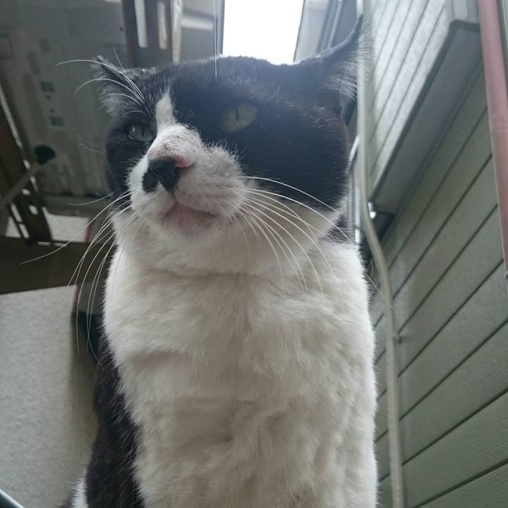 390c4868 91c6 436e 821c 0aaac54ef436