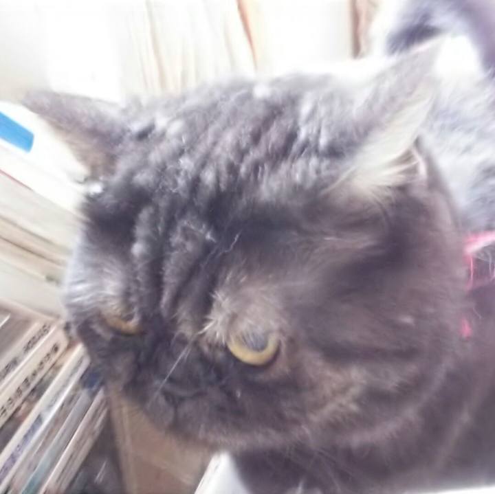 390c631c d19f 427a 8b31 7bc7b8b91f87