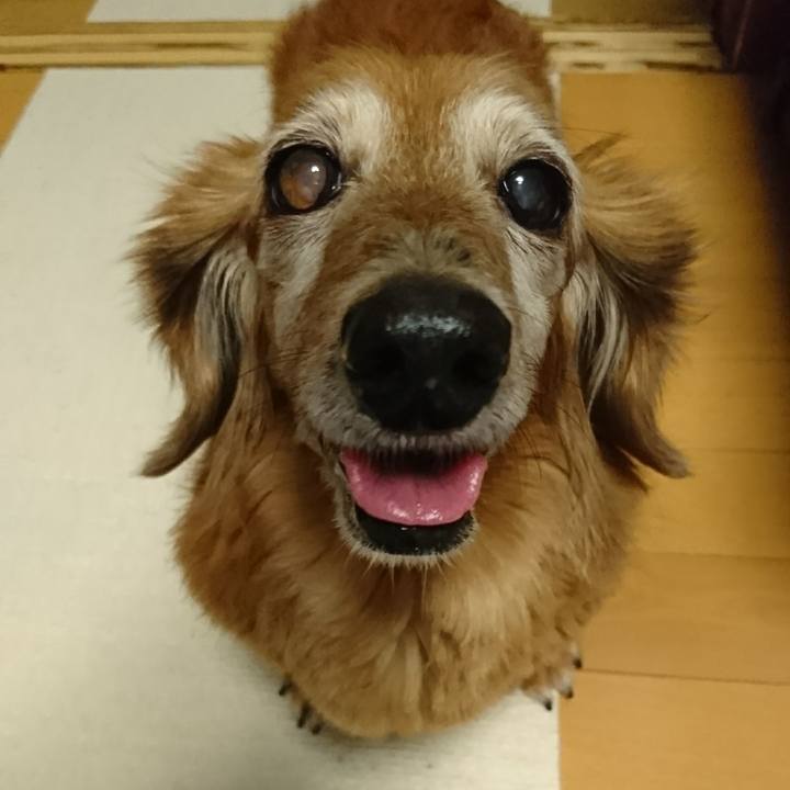 390c6ad8 be33 484e b442 488647cb6d14