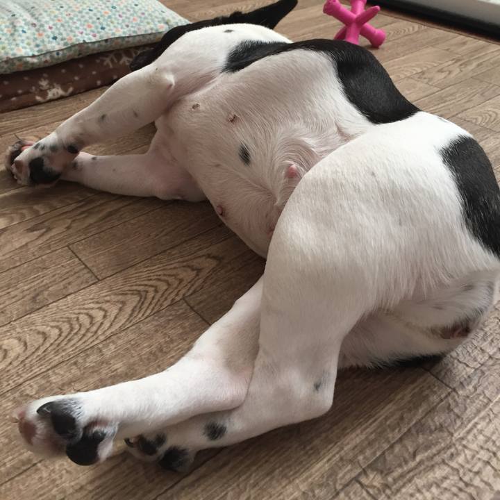 390d45fc 253f 4aca 84d9 f1b9768ae013