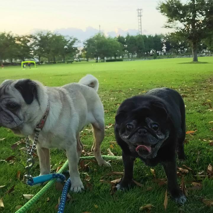 390d550d cbe4 413d acce 746cde5b5fa1