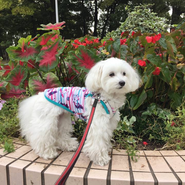 390d61d9 6233 49ba bb25 43f3713e3da1