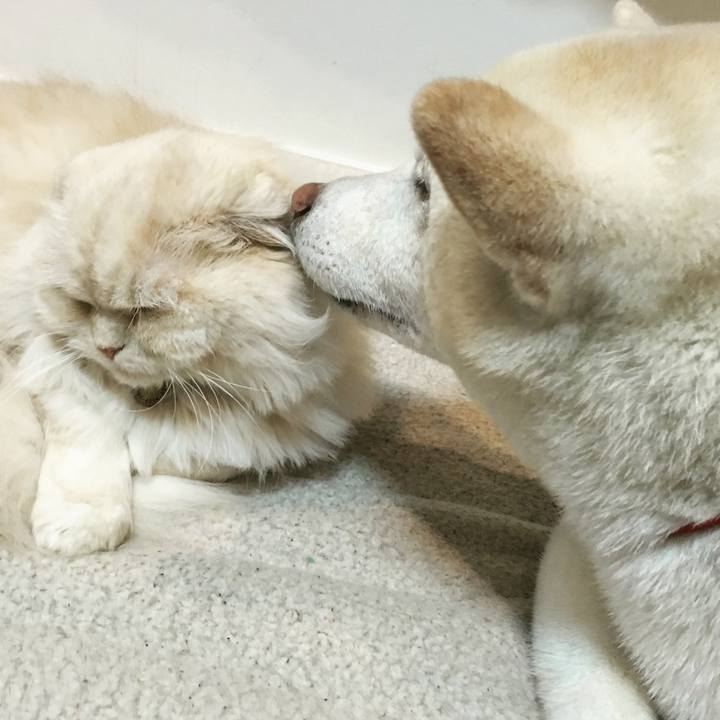 390df67a 20c5 42df b9c0 0cb07134be3b