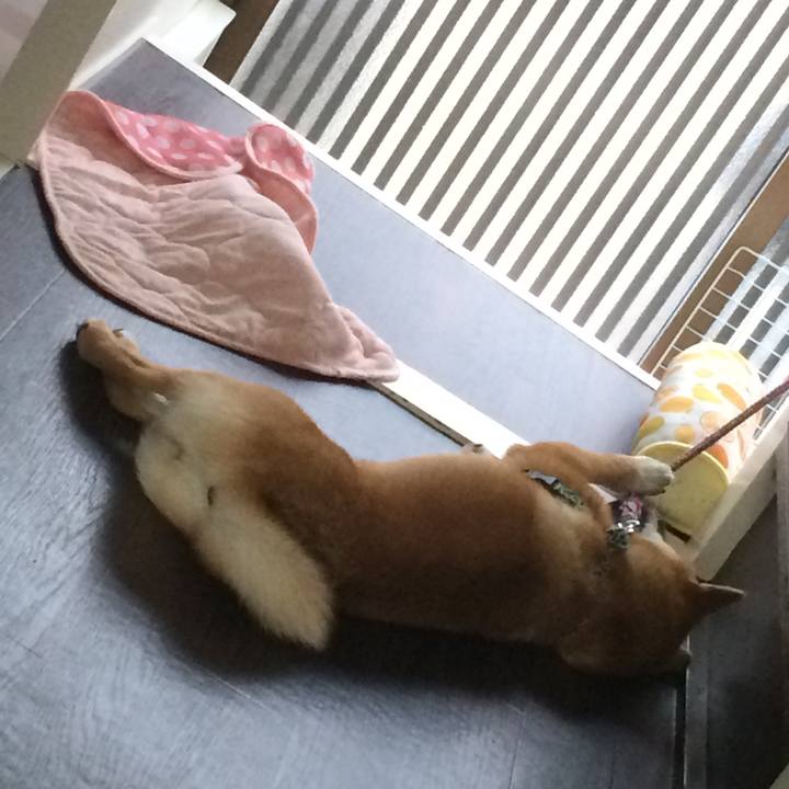 390ed2ab e303 4802 ab59 d38351b3b384