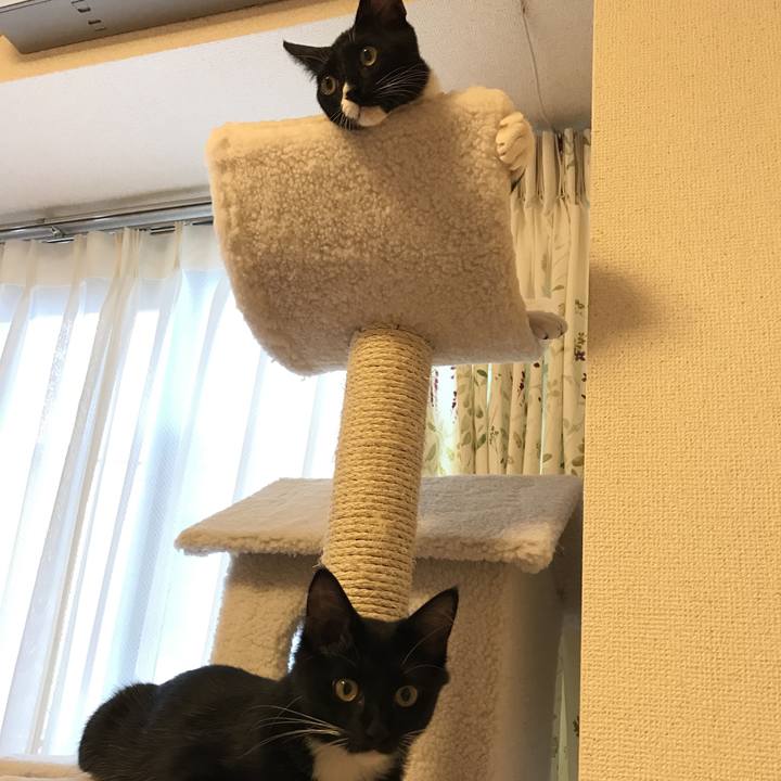 390f52d4 833d 4ad4 a381 59a57ab07793