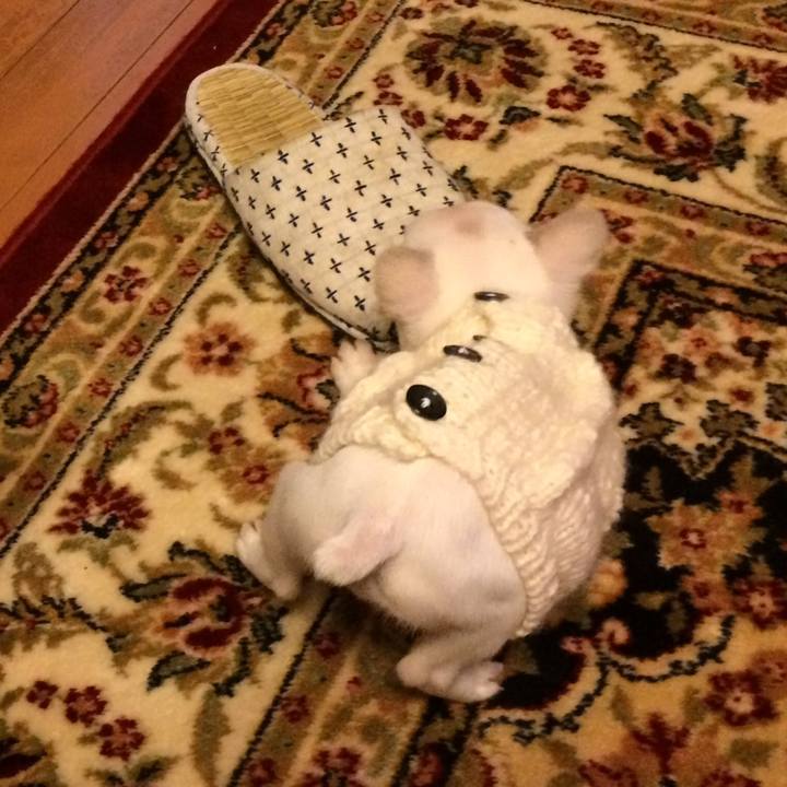 390f6f52 a82f 4b7e 9040 1ccbfacbe662