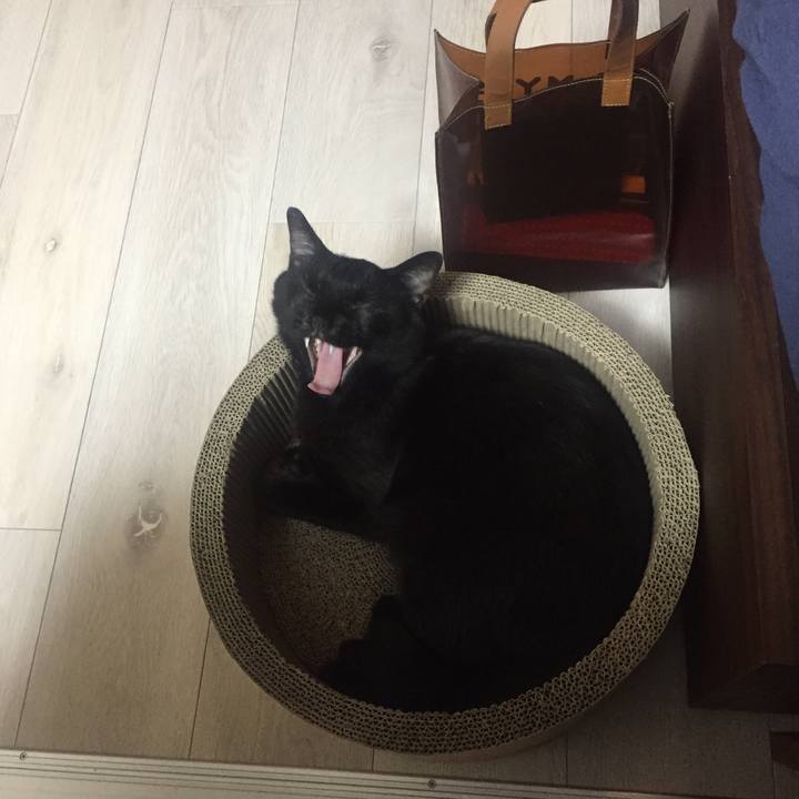 390f9a2f 2478 407d b45c 378f6d945d6c