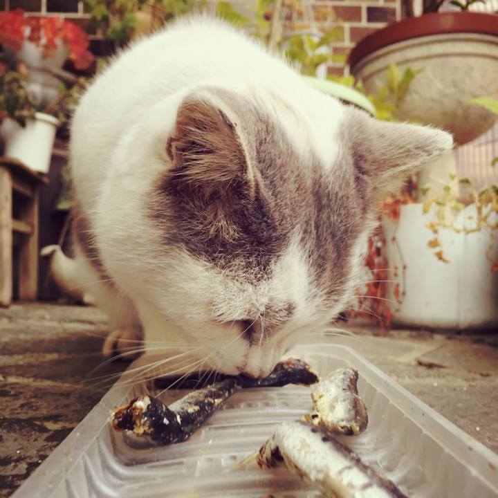 391044db a61f 4dfe a9b9 29db1db9b694