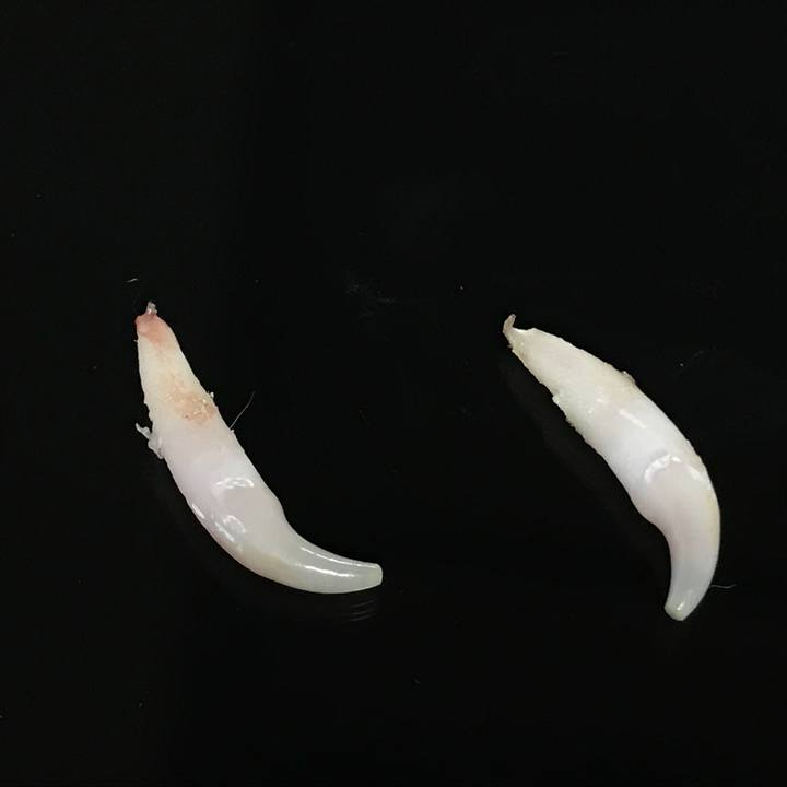 39106eb7 ac97 4a8a 9c6a 899991a2c111