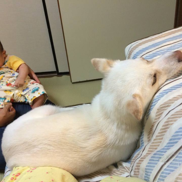 3910a794 e2dd 4aa7 bbdb 81ba8dc3c8ab