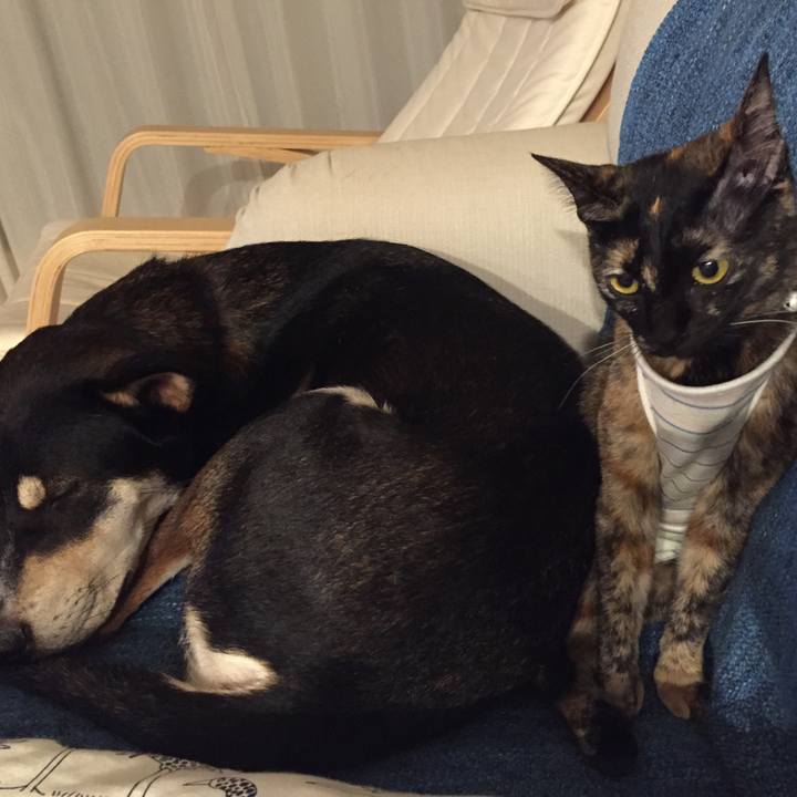 3910ecbd 6a68 41ee af41 4c63b9c1ecaf