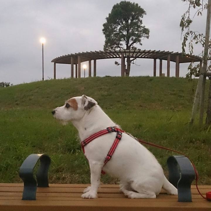 3911343a 6eb5 444e aceb 8c63aa6260fb