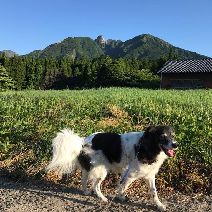 39119de7 5cfa 4c97 934e f5e174b523ab