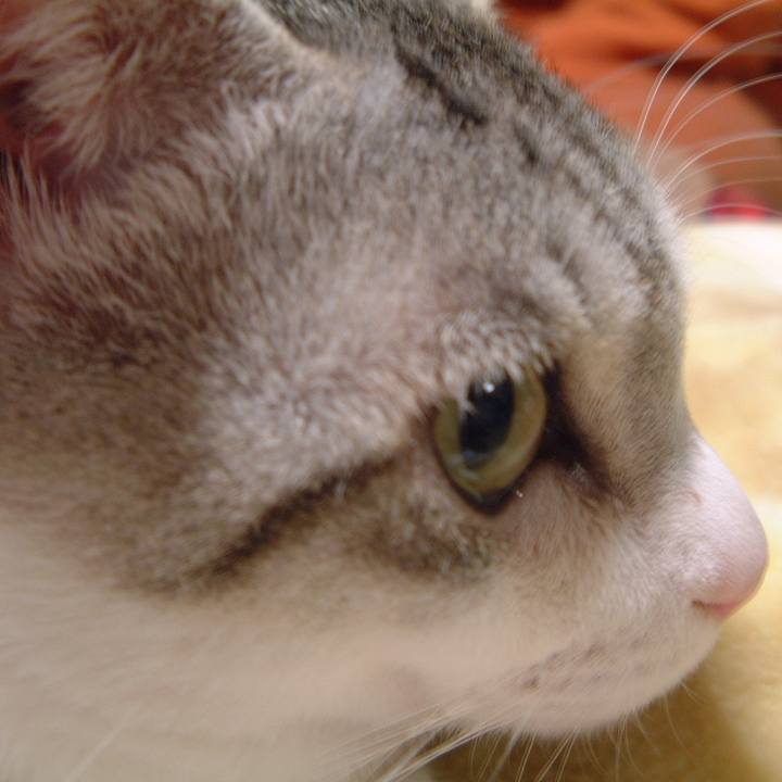 3911af3d 8709 4e3b a5fc d9dbf07fc51d