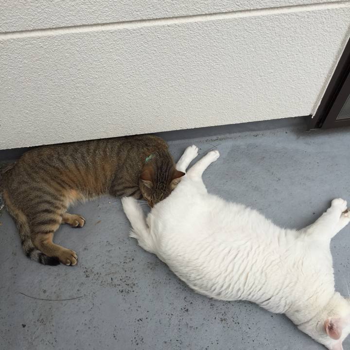 3911b0ca e173 4e99 9a04 23ee27c4eb55