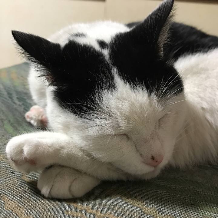 391249a3 4e16 4c4b a8c1 57e68240d98f