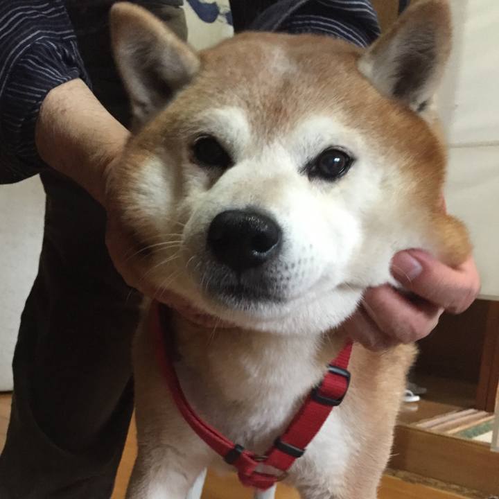 3912c31e 5d57 4e02 b24d 5eb4a5b384a0