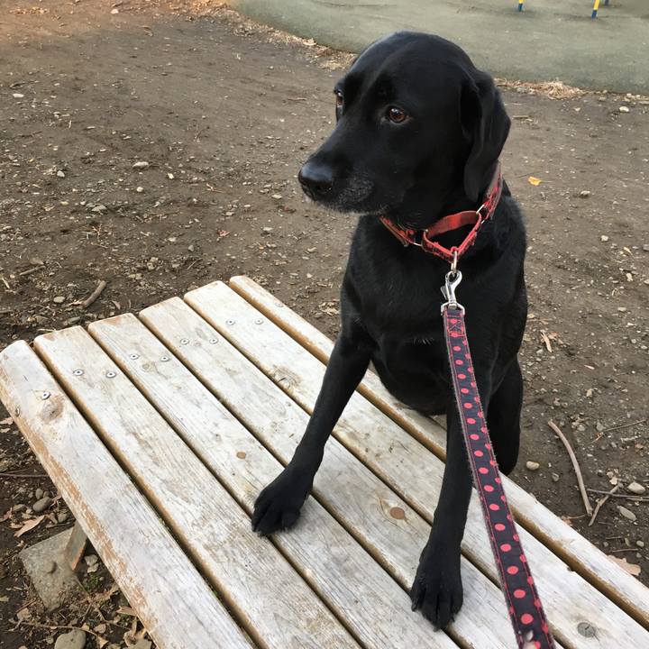 39131592 5a4e 4541 969d 45524dc4166d