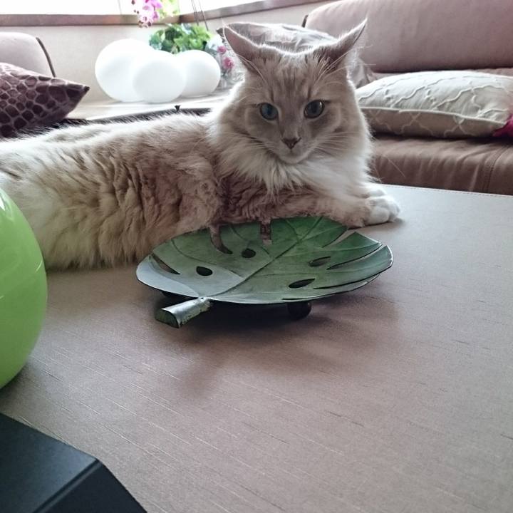 39139e2e c5ae 4583 a632 ef66eca9de41