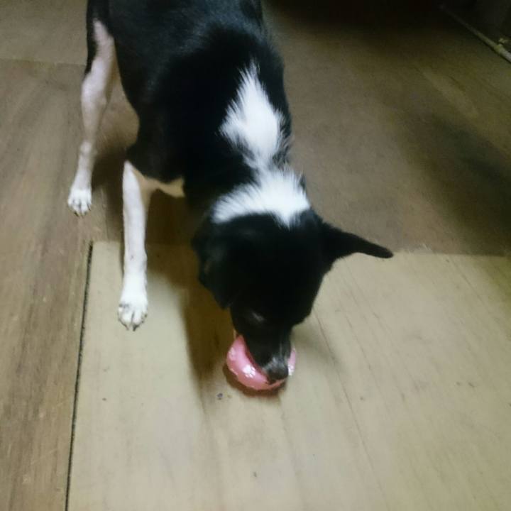 3913aa99 7564 48c5 ba62 569665d7dd85