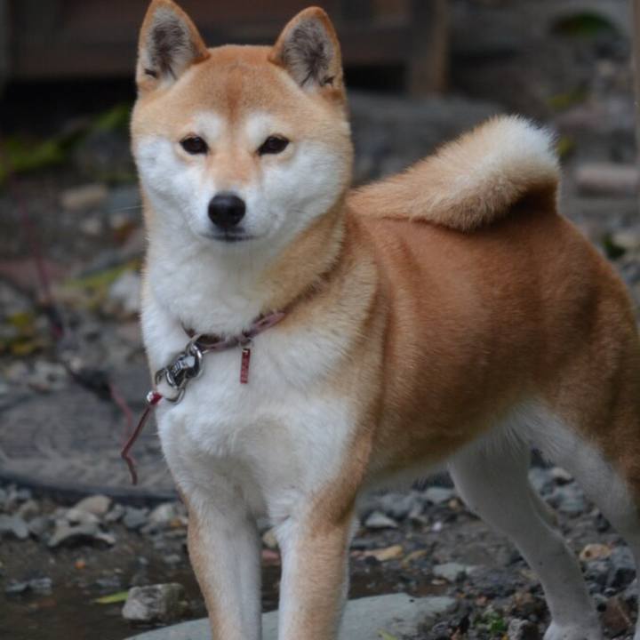 3913ad2b f07d 4611 a511 0d8c1438a635