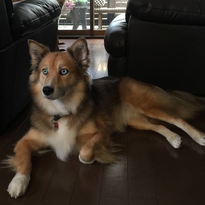 3913ea1e 0b85 424c a8a9 0993794b2418