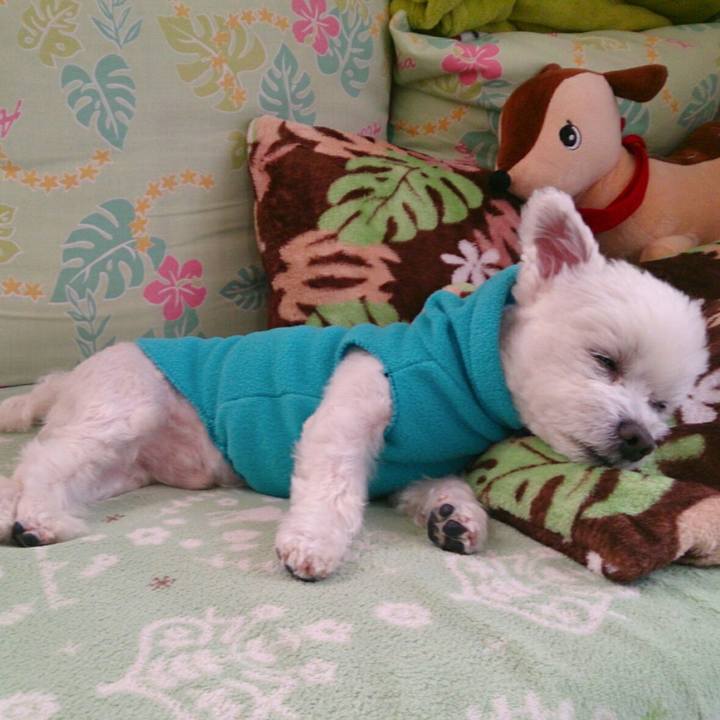 391550ac 4627 4dd8 87cb 916e67054513