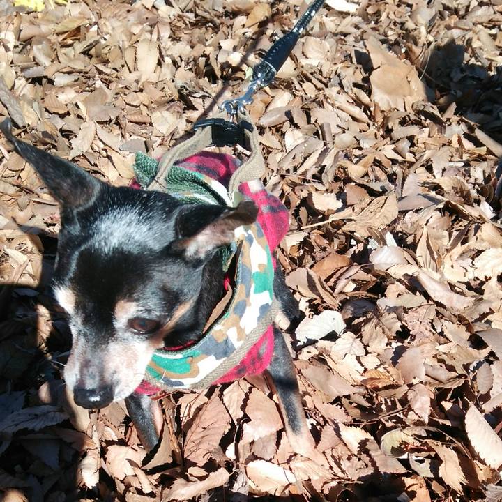 3915a83a c832 4545 8428 813686641390