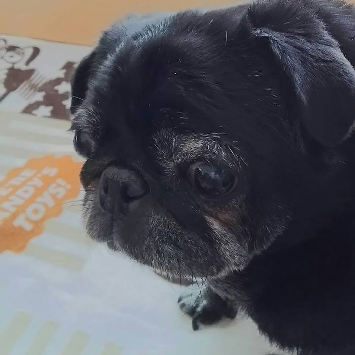 3916cd71 51d0 4032 b731 6d2158ff46bd