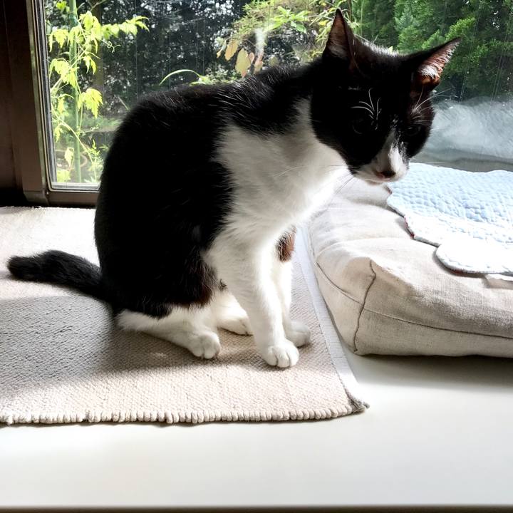 3916ddf7 f7c1 4f89 9ef3 f90a80e5218e