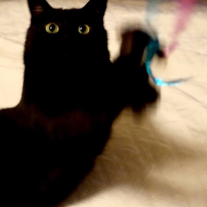 3916efc7 5acc 4415 a38f 4772bef44956