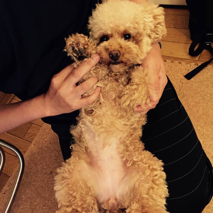 3916f16b d9de 479e b97a cf80e1431a10