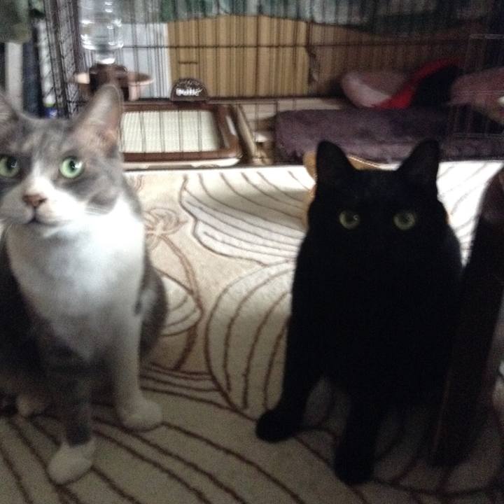 3917f021 9615 4451 9d3a 9cd351a7006b