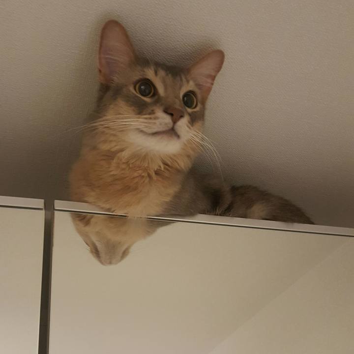 3917f314 881e 443c 9401 581d5347e72a