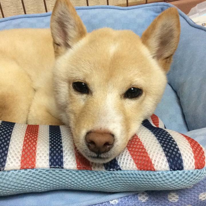 391887d6 3e52 4e0b 97e5 a3404751eb2c