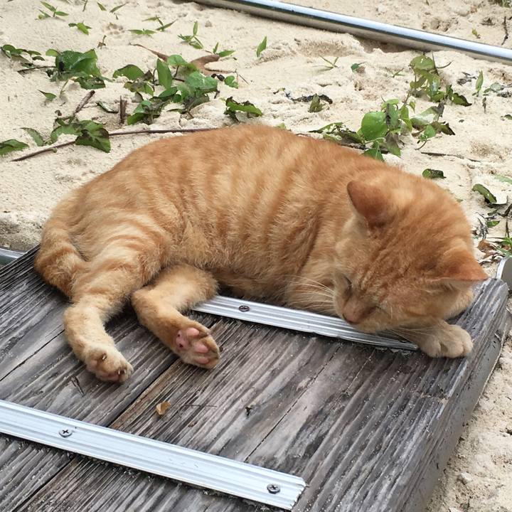 3918d6f2 06d1 4c81 8cca 3c6459620470