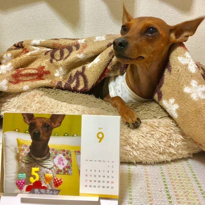 3918edd9 8483 45ce 9b54 12812e4f4cd1