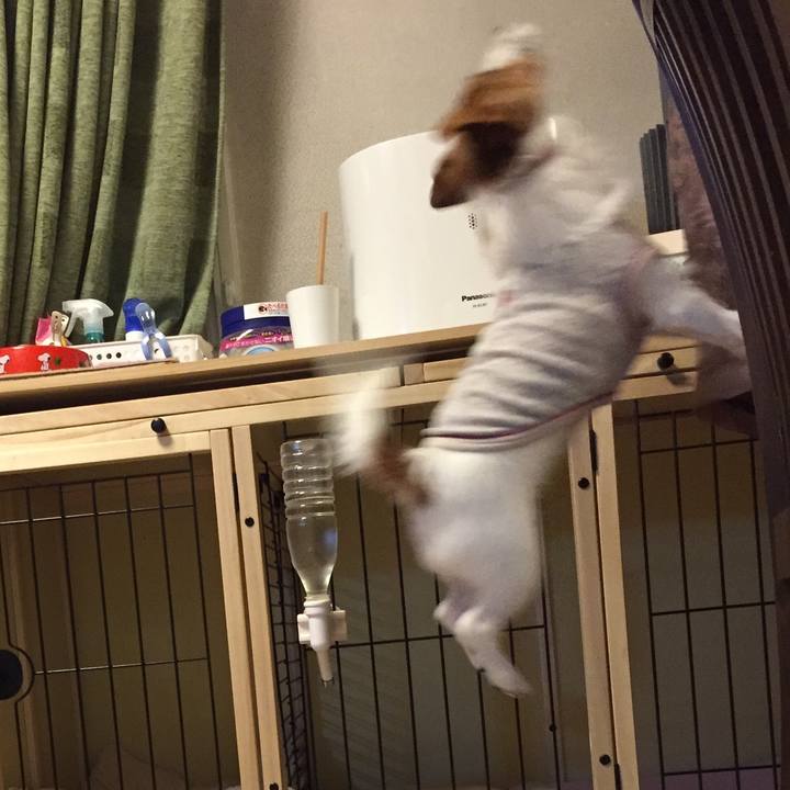 3918efe7 c5a2 4939 bce6 b2b72bc9ef63