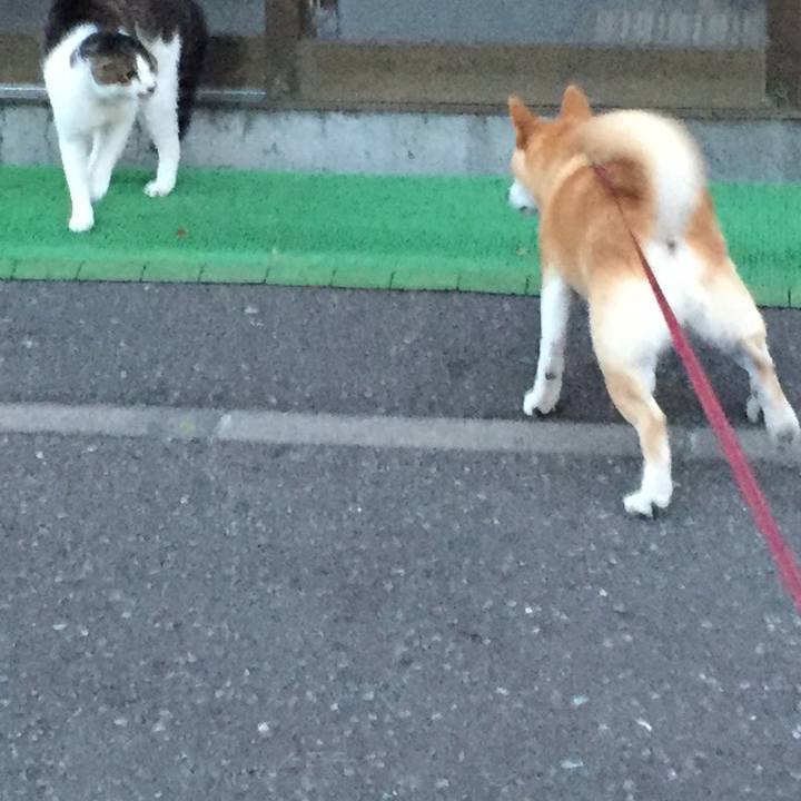 3918f45f 1aba 47fe a4c4 7e970fc3b2fa