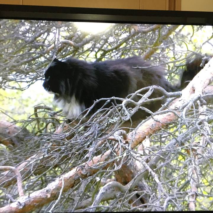 3919b9fa 0cd4 4fc3 b747 48886d25b57e