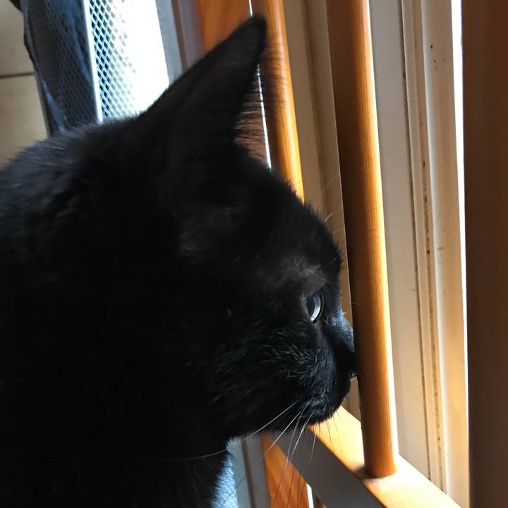 3919c701 e208 49dd 8b9e 33a09bf57421