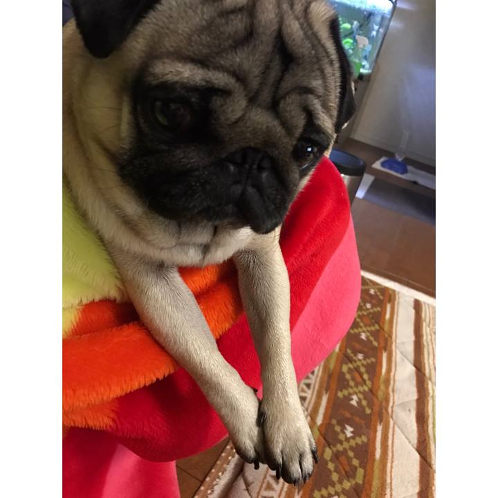 391b24a3 9de7 4343 9330 eb5500334171